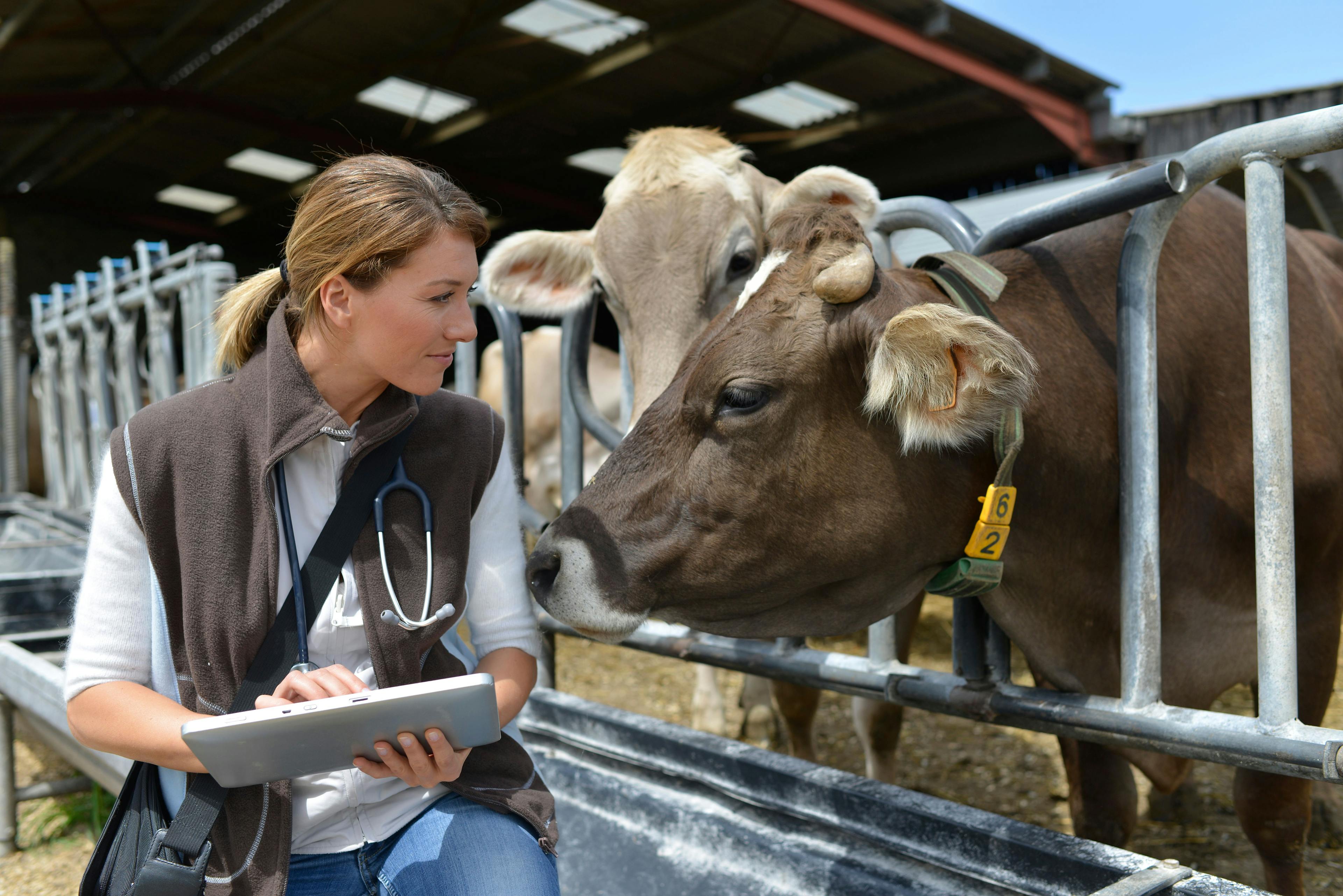 Wrap up: Survey sheds light on the current state of the veterinary industry, and other news 