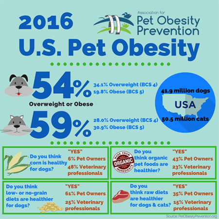 2016 U.S. Pet Obesity Infographic-body.png