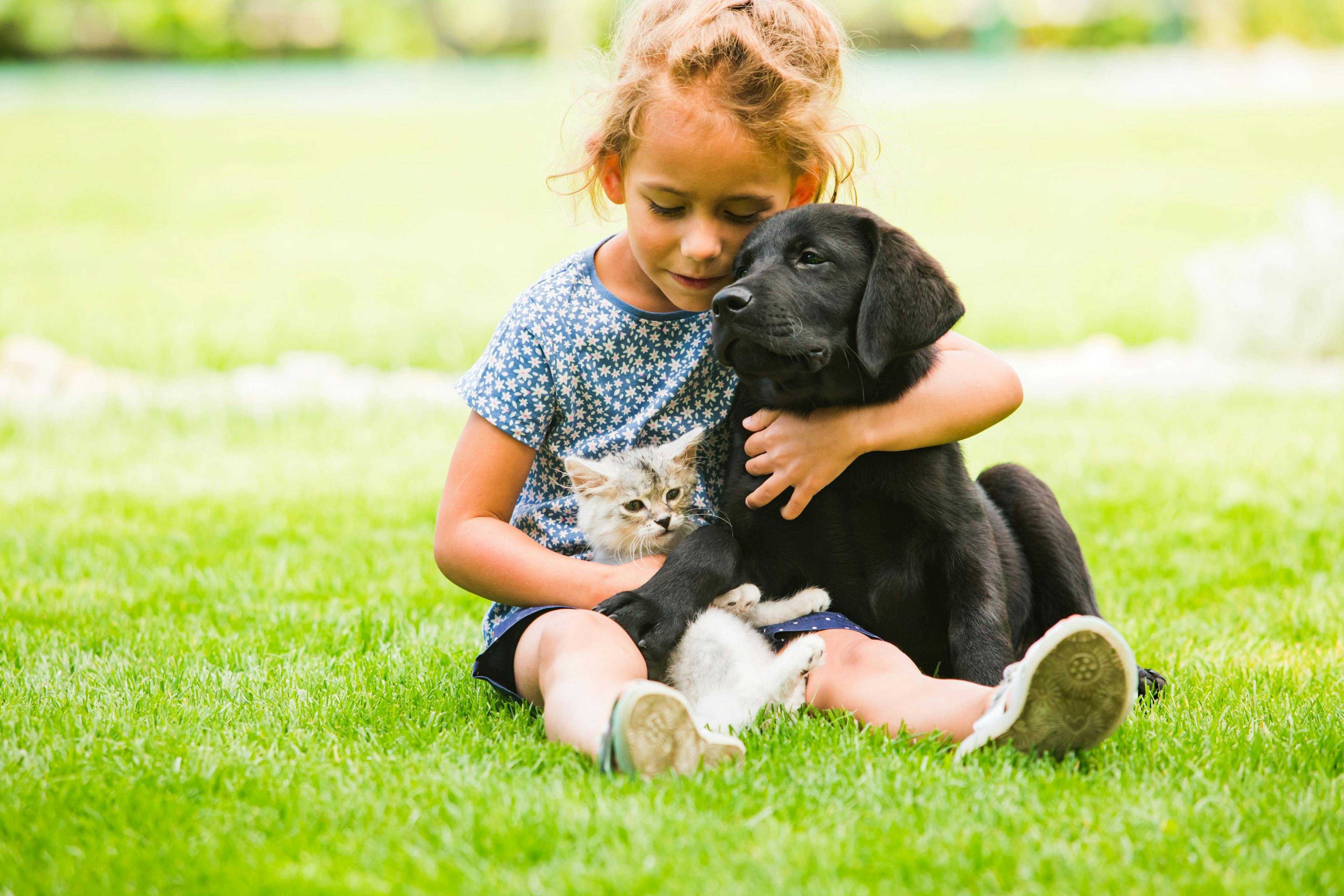 New poll finds 8 in 10 adopters consider it the most rewarding experience