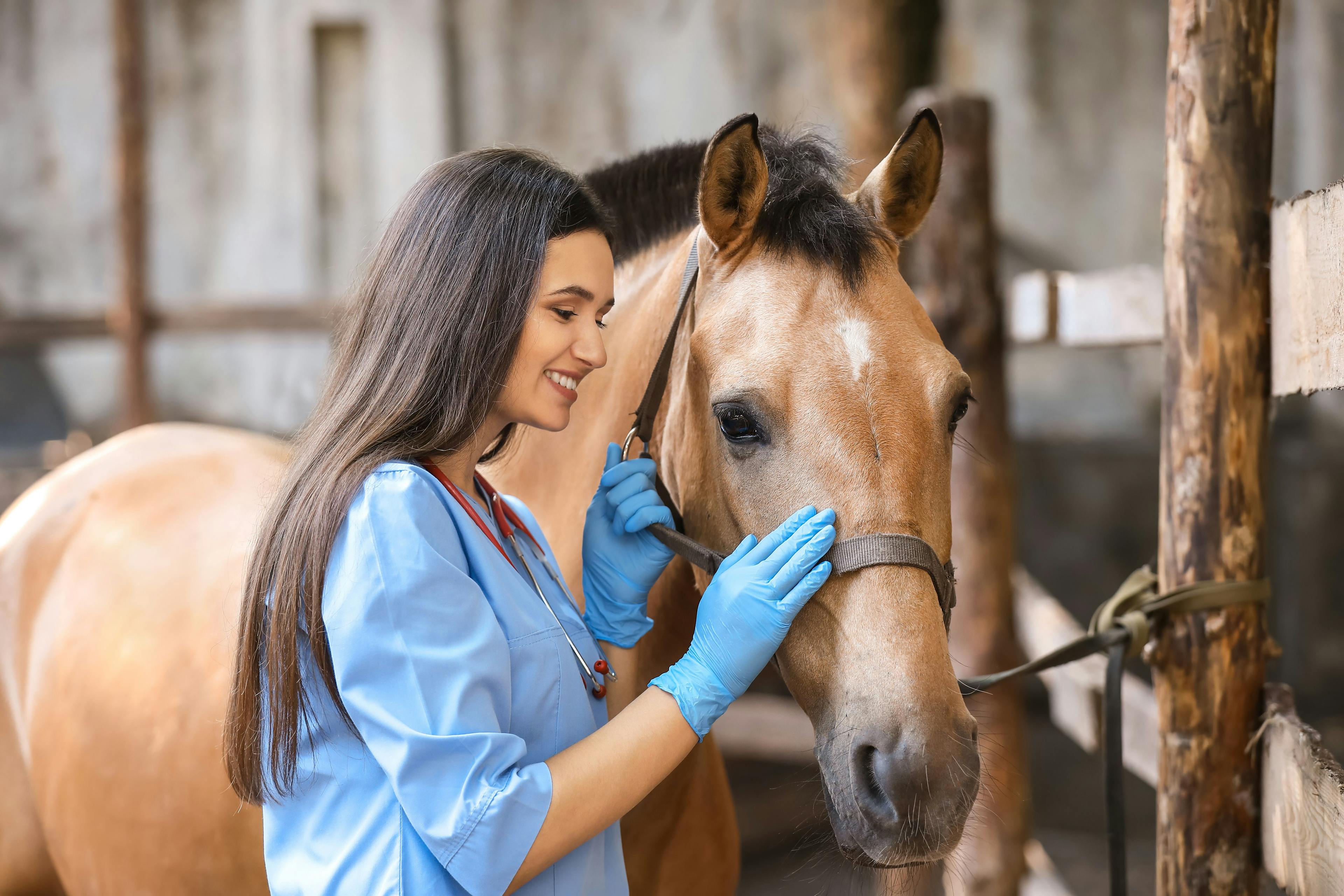 Fear Free launches equine certification program 