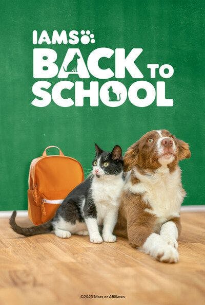 Consider your furry friends this National Back to School Prep Day 
