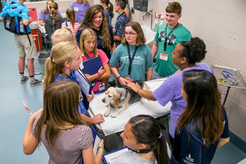 Vet Set Go, Merck, and VCA Animal Hospitals launch Become a Veterinarian Camp Contest 2022