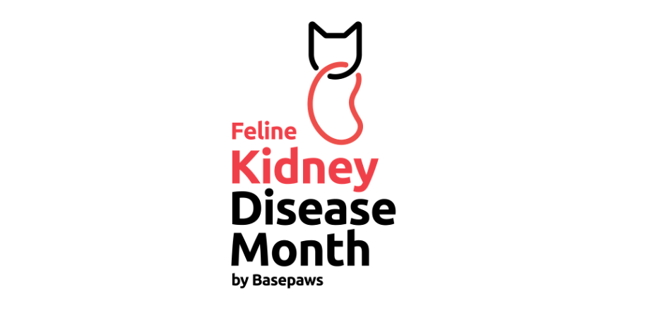 Basepaws establishes inaugural Feline Kidney Disease Awareness Month