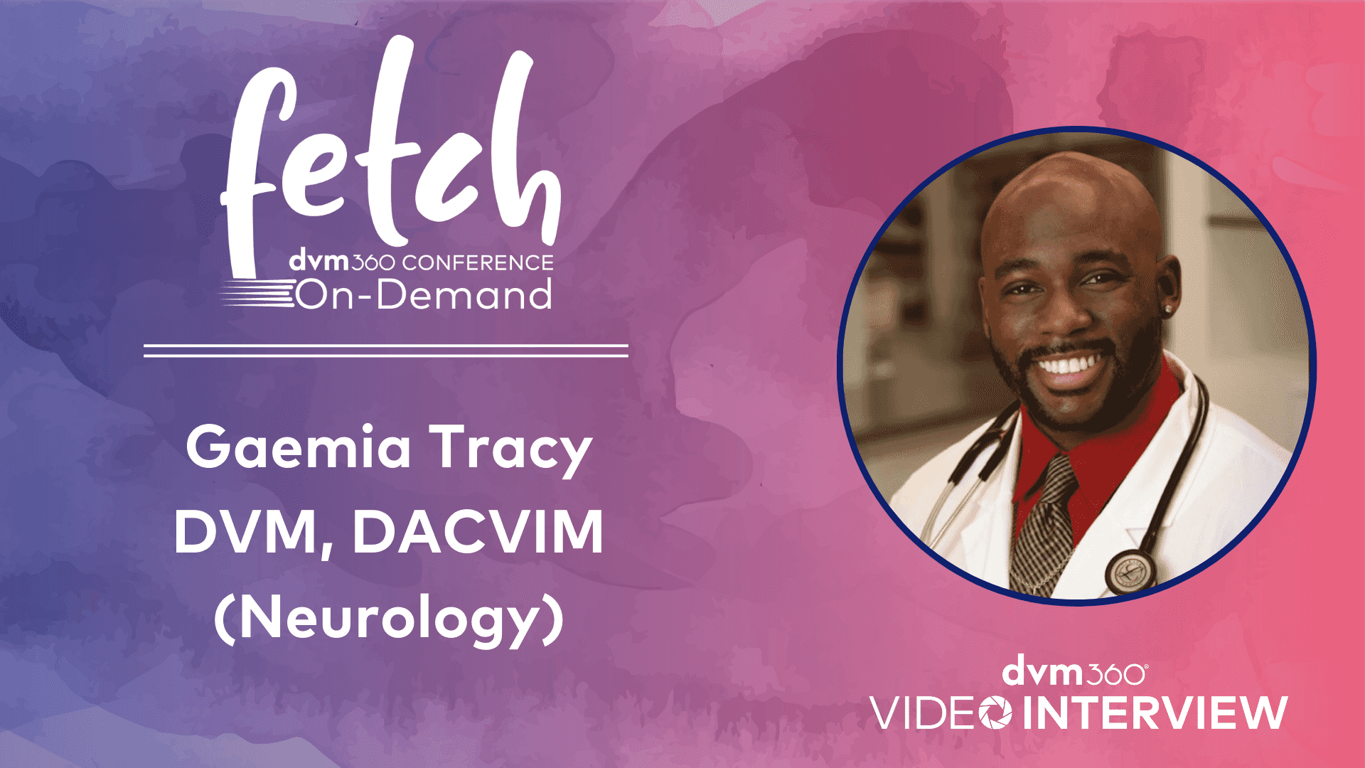 Gaemia Tracy, DVM, DACVIM (Neurology)