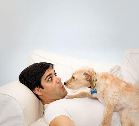 veterinary-dog-man-sofa-surprise-shock-103125619.jpg