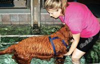 VeterinaryHydroFront-591380-1384518010236.jpg