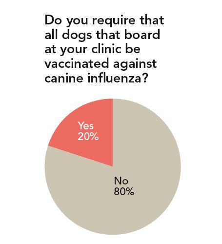 veterinary_influenza2-680858-1384221403330.jpg