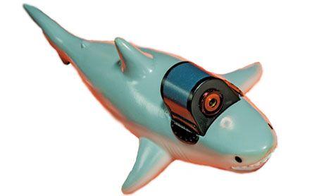 shark-with-frickin-laserbeam-450.jpg