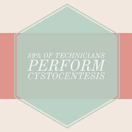 veterinary-uber-techs-cystocentesis-450.jpg