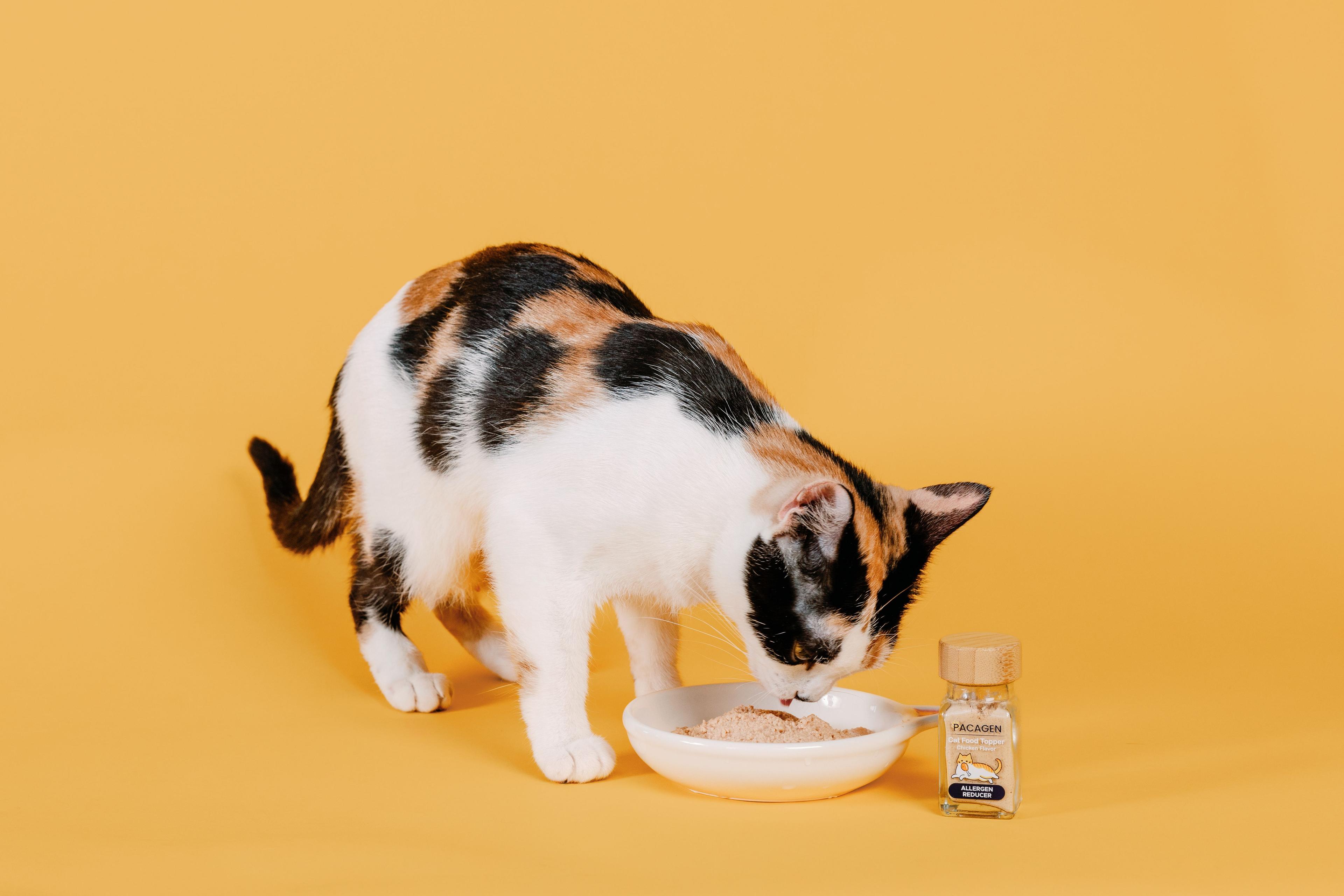 New feline food topper reduces cat allergy symptoms 