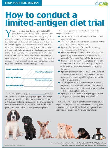 veterinary_handout_diettrial-450.jpg