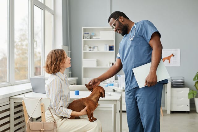 Veterinary access to care