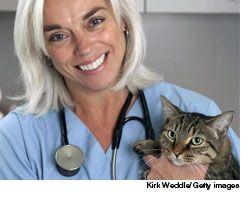 veterinary_optimist_wd-601776-1384508066865.jpg