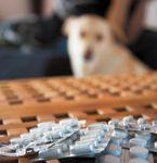 veterinary-dog-pills-blur-173022546-822146-1404219403666.jpg