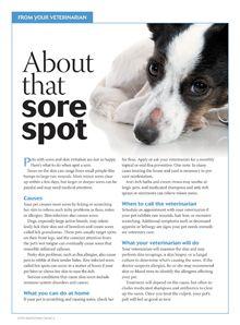 veterinary_dvm360_1015_handout_dogcatcaresorespot_220.jpg