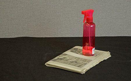 veterinary_spraybottle_450.jpg