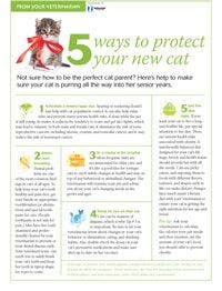 200px_5-Ways-to-Protect-Your-Cat_Client-Handout-v2.jpg