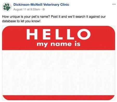 veterinary-dickinson-facebook-post-whats-your-pets-name-450.jpg