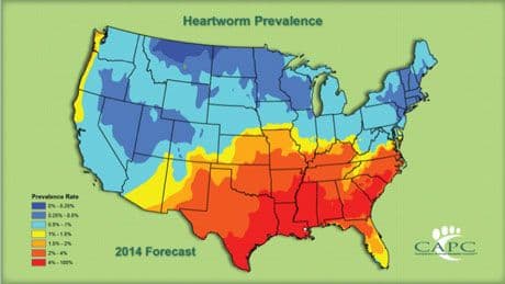 veterinary_heartworm_map_capc.jpg