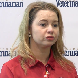 Vets Should Encourage Clients to Volunteer