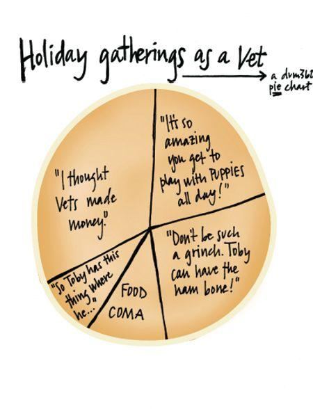 vetted_piechart_holidays_1216.jpg