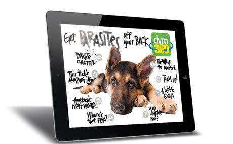 veterinary-iPad-issue45-460-284.jpg