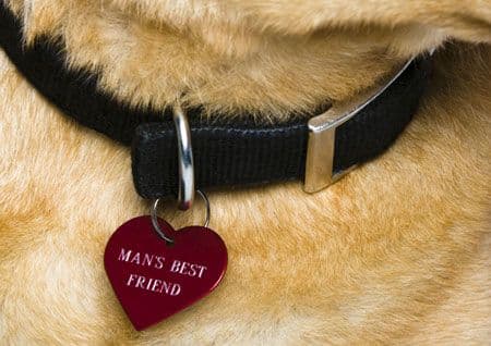 veterinary_1011_collar_heart_tag_450w-762283-1384165557445.jpg