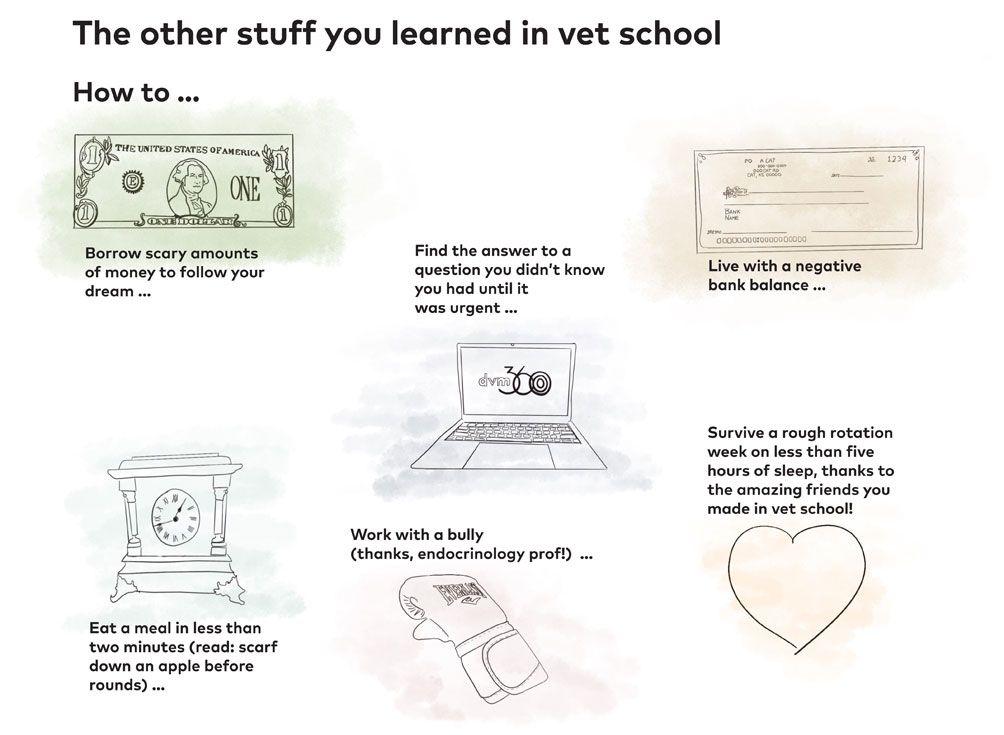 vetschool31004.jpg