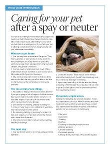 handout-after-spay-neuter-220.jpg