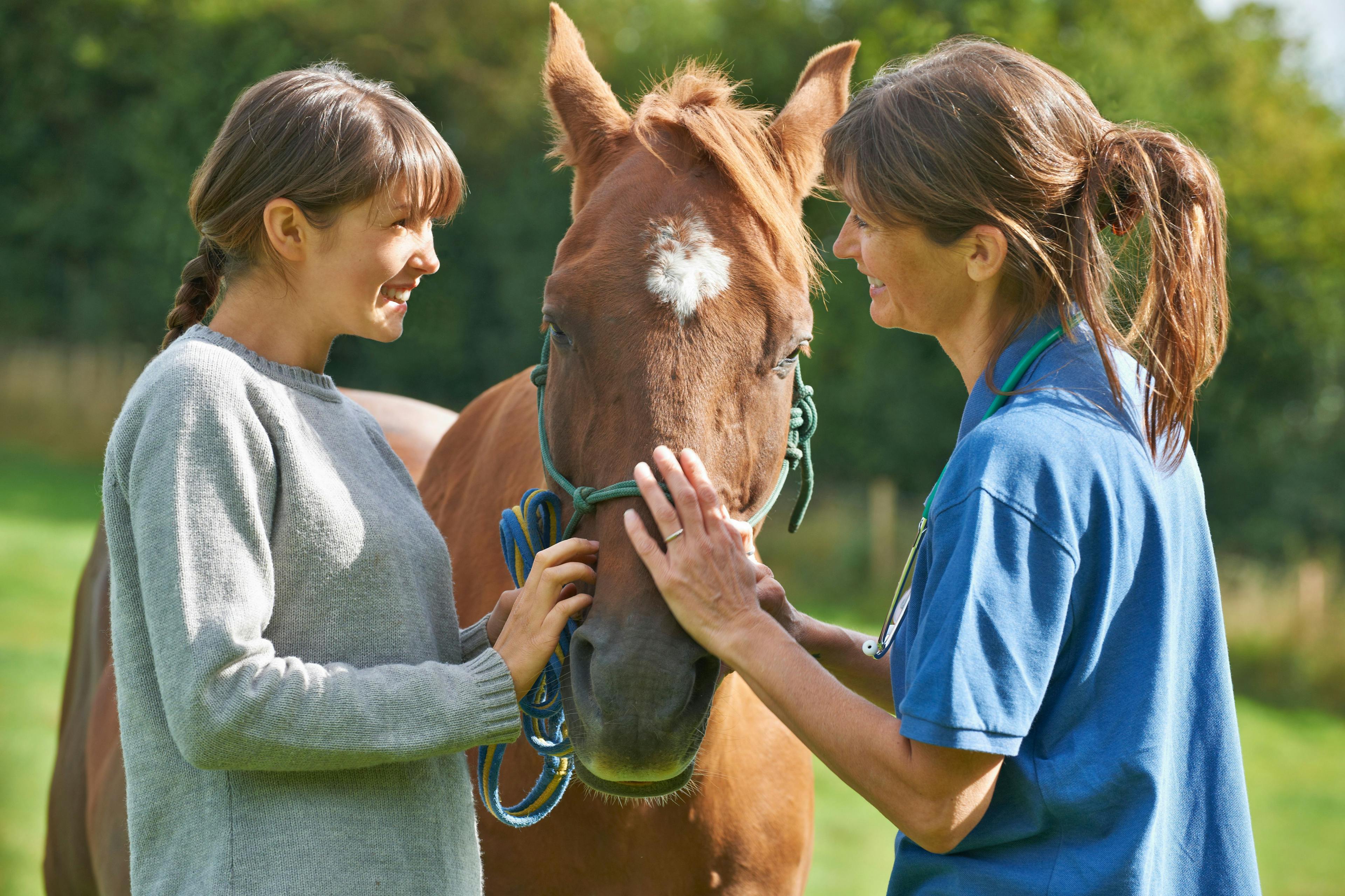 Increasing veterinary technician utilization with new guidelines