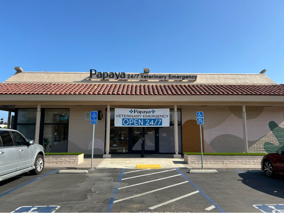 Papaya Veterinary Emergency Hospital in Encinitas, California. (Photo courtesy of Papaya)