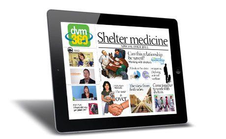 veterinary-iPad-issue41-460-284 copy.jpg