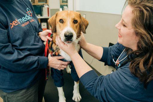 PetMedic Urgent Care Vet Clinic plans to open 2 new Massachusetts locations 