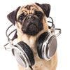 dogtunes100.jpg