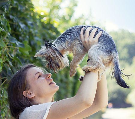 veterinary_woman_holding_cat_victosha_AdobeStock_89993384_450.jpg