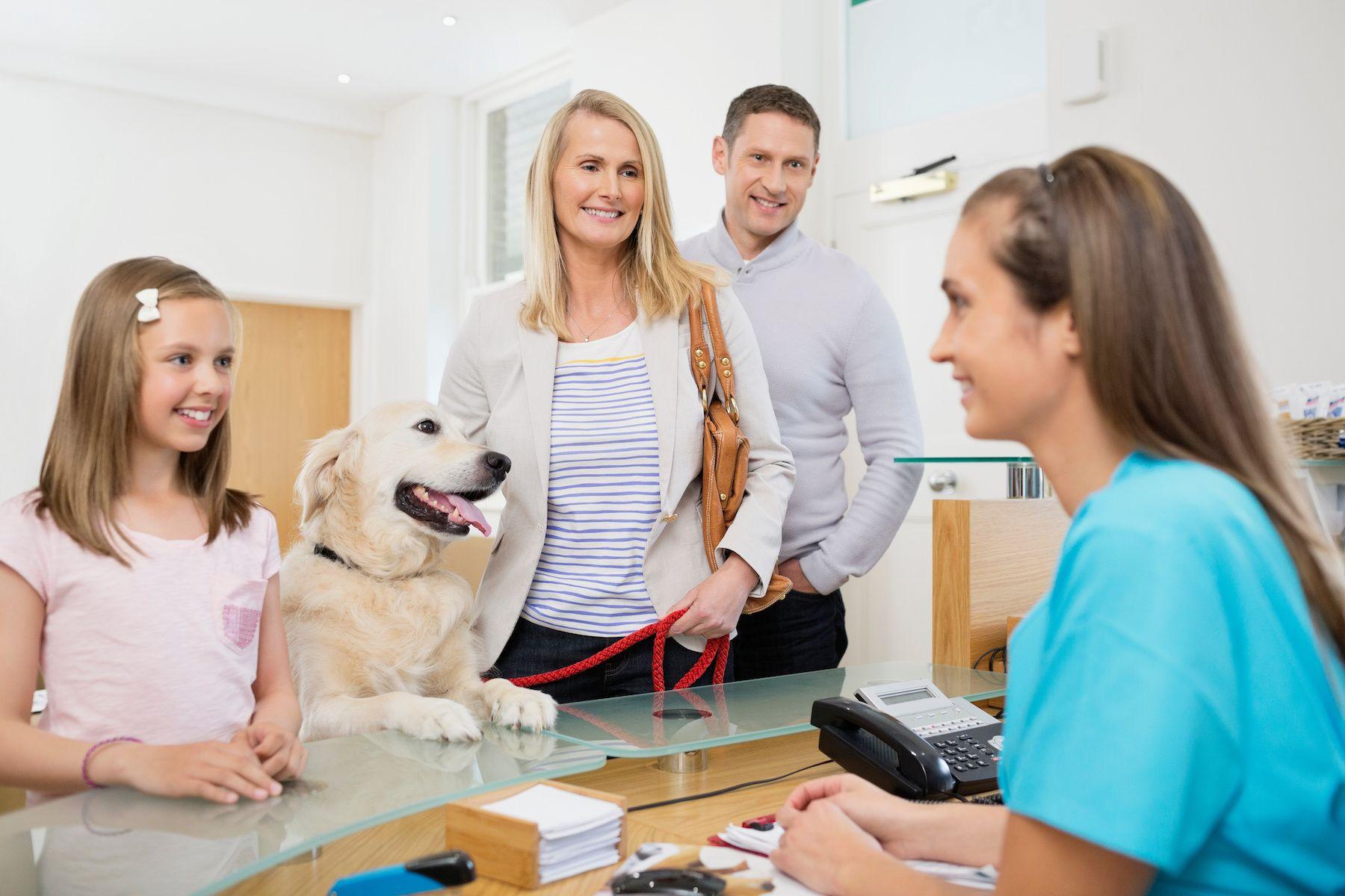 Veterinary receptionist