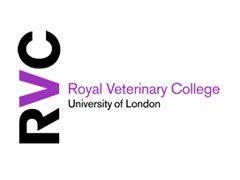 veterinary_rvc_wd-580696-1384524190517.jpg