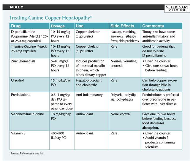 Copper_Table2_big-534775-1384674867309.jpg