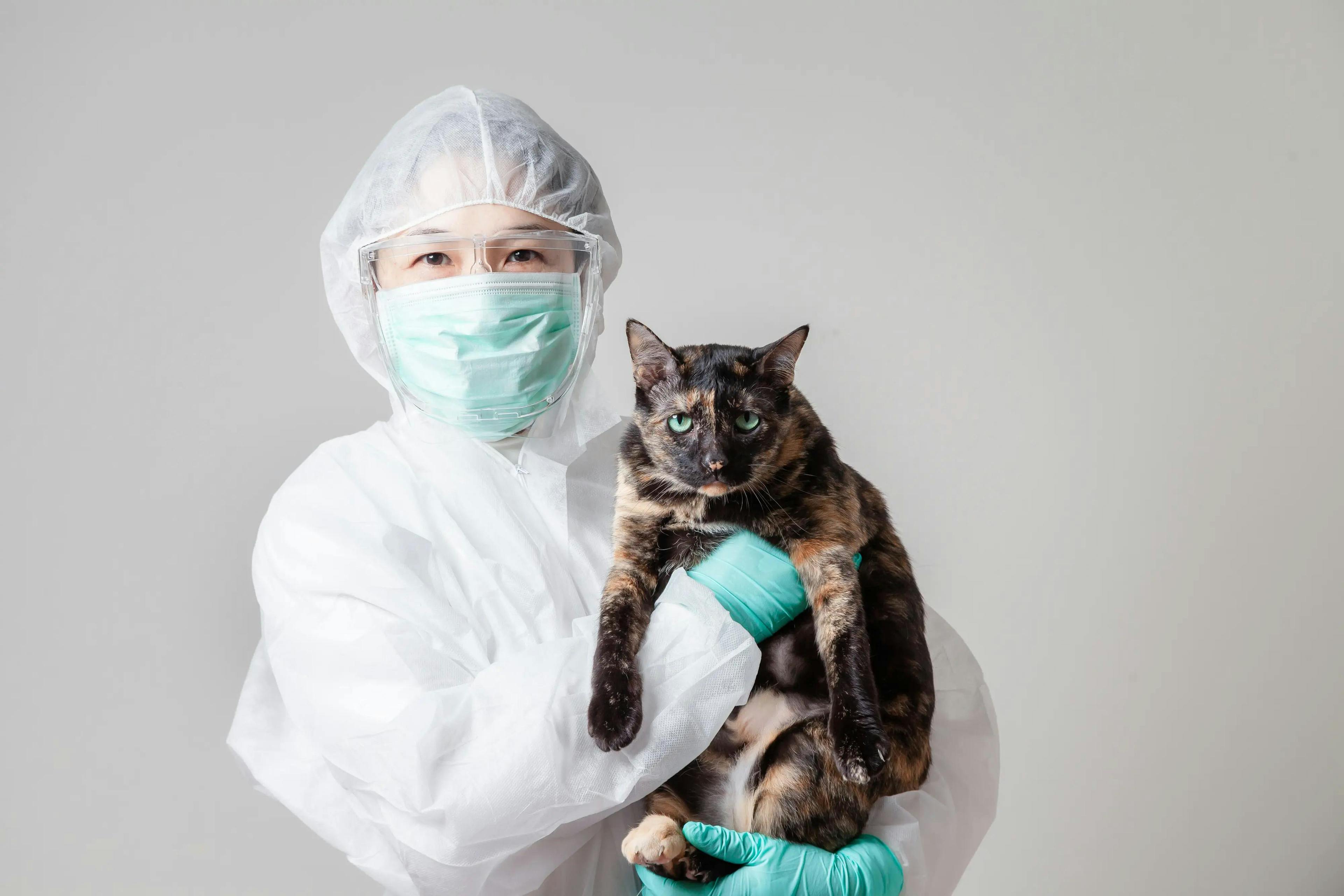 Recommendations for veterinarians evaluating feline cases of H5N1