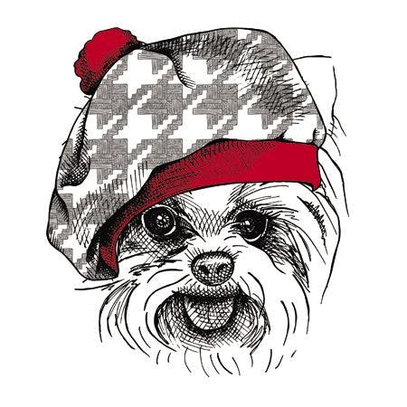 veterinary-image-portrait-of-a-dog-yorkie-in-beret-hat-vector-illustration-450px-323540663.jpg