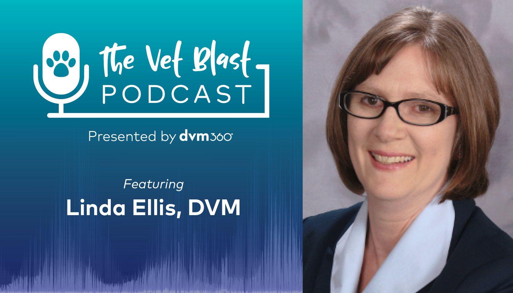 Podcast CE: veterinary professional liability - common claim drivers