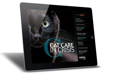 dvm360_CatCare_issue36_web-845878-1404209149082.jpg