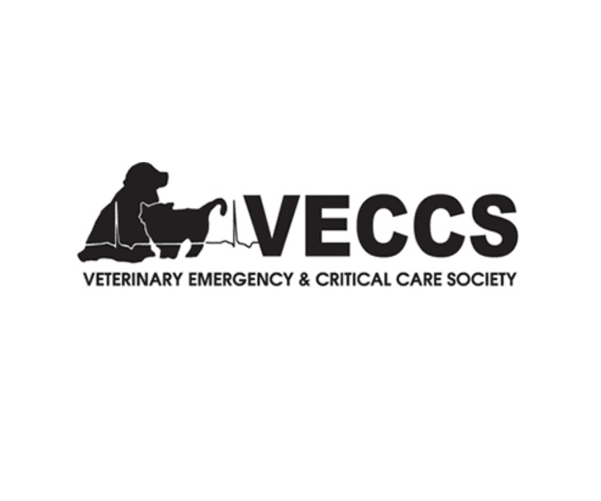 VECCS successfully hosted first in-person event of the year