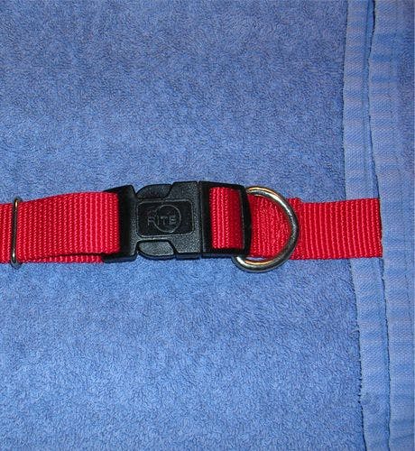 veterinary_harness_5_460-674400-1384277063060.jpg