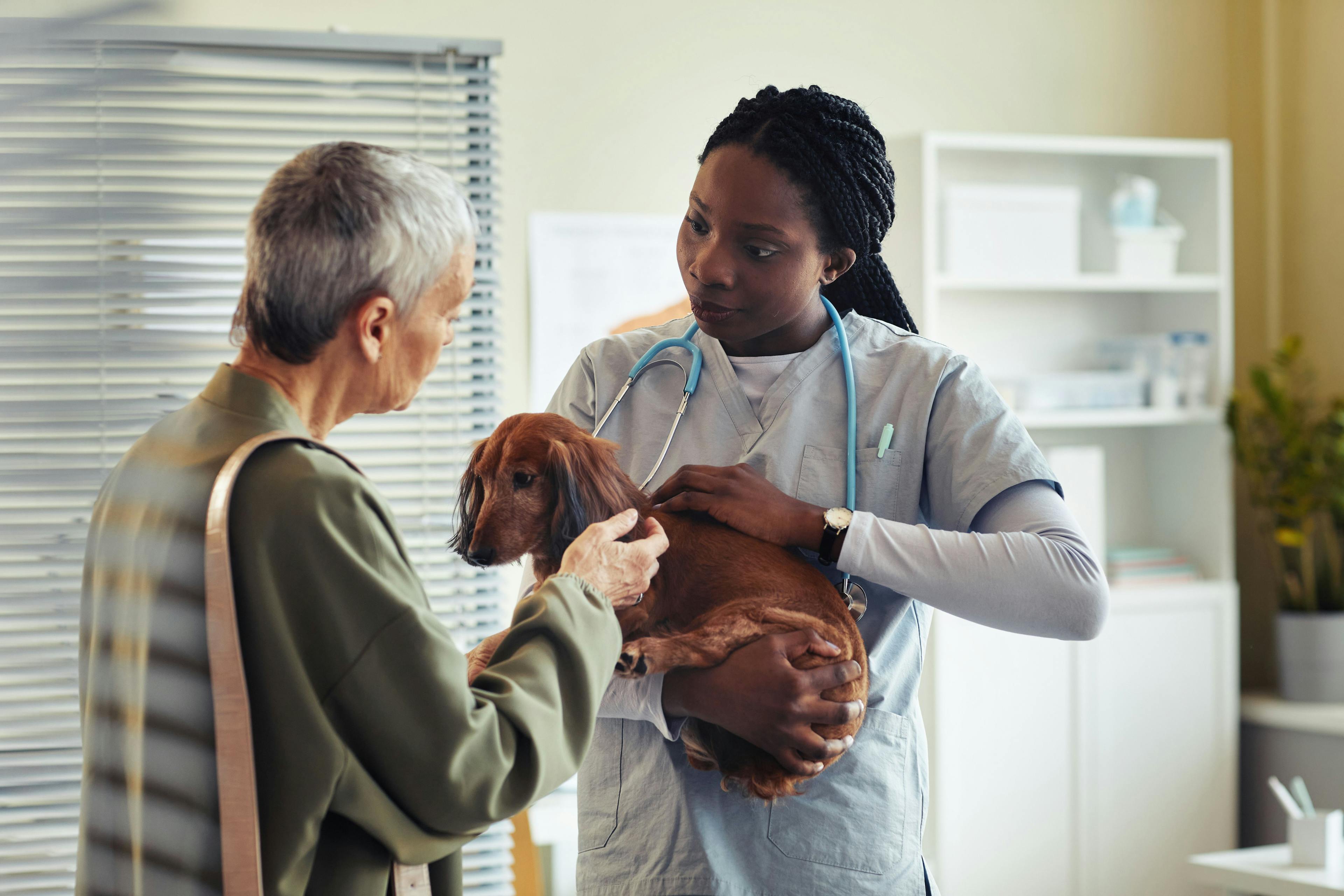 Barriers and change: Practice ownership for diverse veterinarians 