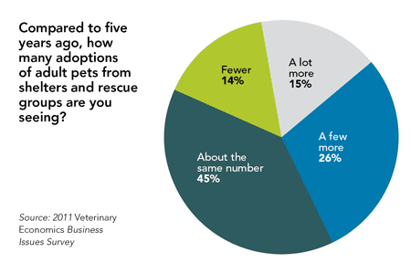 058_shelteradoption_veterinary-734908-1384185373357.png