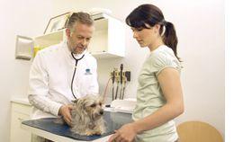 DVM_veterinarynews_smpractices_flash.s-int-557458-1384665248404.jpg