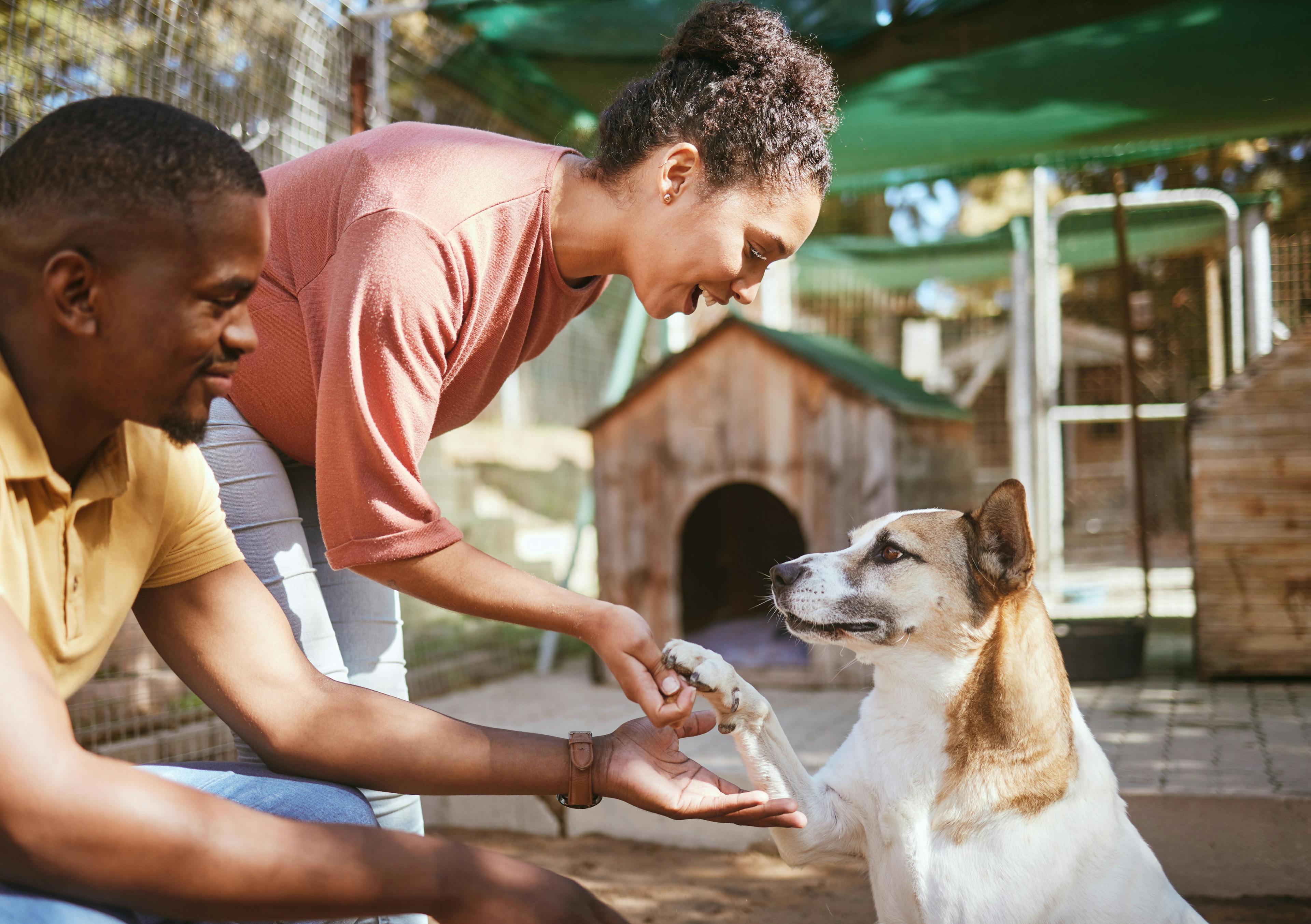 Photo: S Fanti/peopleimages.com/Adobe Stock