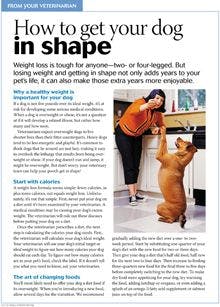 Veterinary_dvm360_0215_toolkit_handout_weightlossdogs_220px.jpg