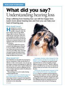 hearingloss-handout-220.jpg